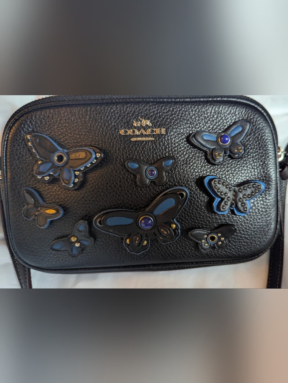 CROSSBODY POUCH IN PEBBLE LEATHER WITH BUTTERFLY APPLIQUE (COACH F59070)